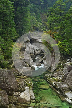 Rainforest river in Yakusugi Land on Yakushima Island, Japan